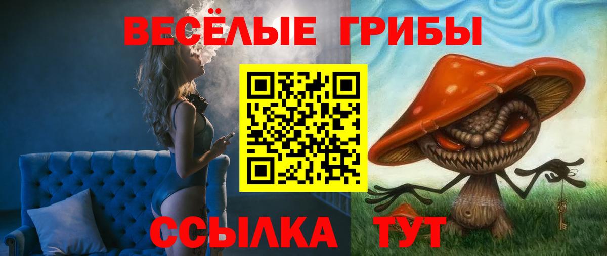 Псилоцибиновые грибы Cubensis  Вход с VPN  закладка  Среднеуральск 
